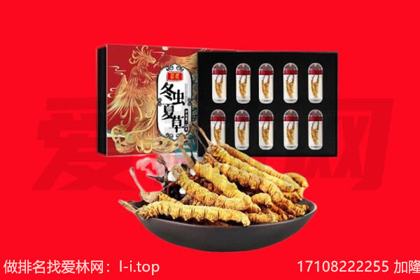 锦州黑山县回收虫草.jpg